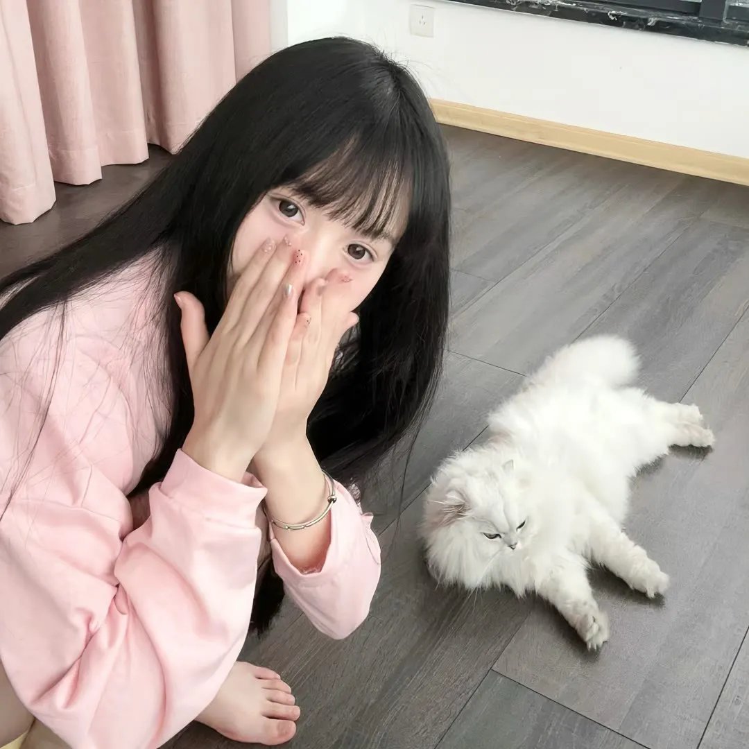 人狗对对碰